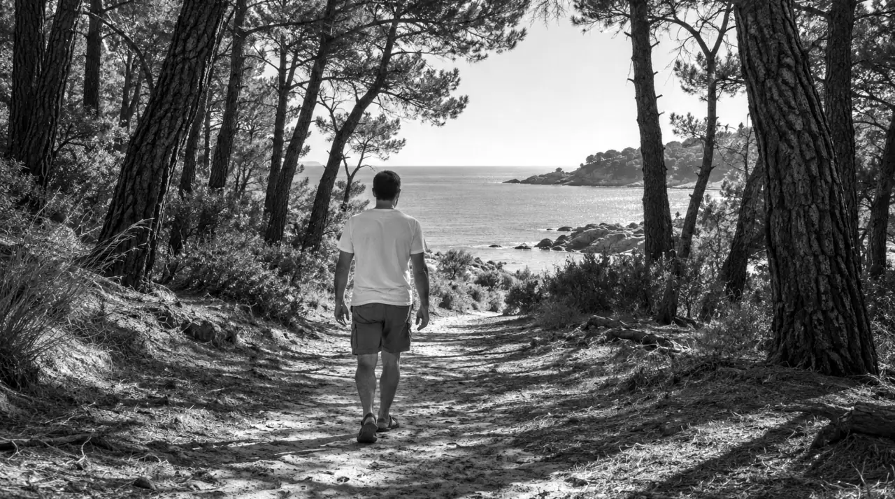 Homme vu de dos sur un chemin de sable entre des pins, la mer au bout du chemin