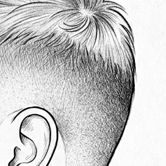 Illustration : Dégradé