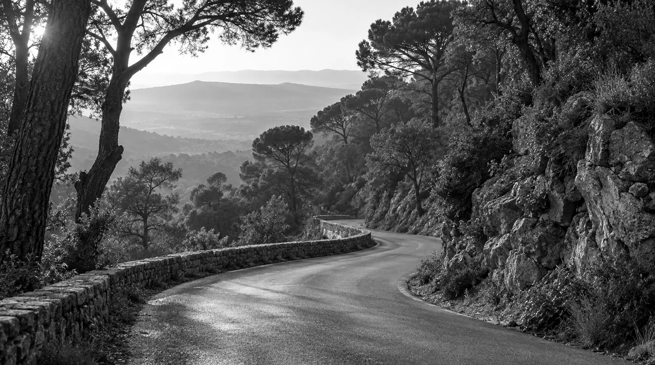 Route étroite qui descend en lacets à travers une forêt de pins, entre des rochers, sans voiture