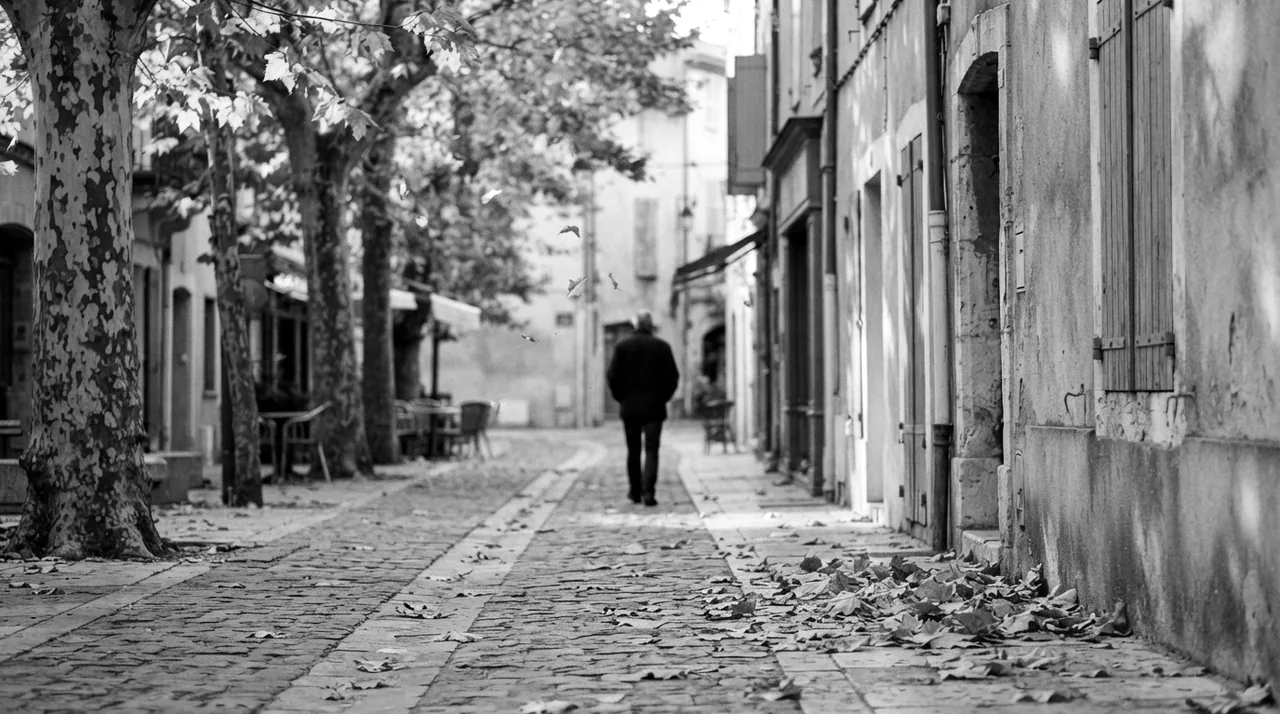 Rue pavée de village provençal bordée de platanes en automne, feuilles au sol, un homme vu de dos qui s'éloigne