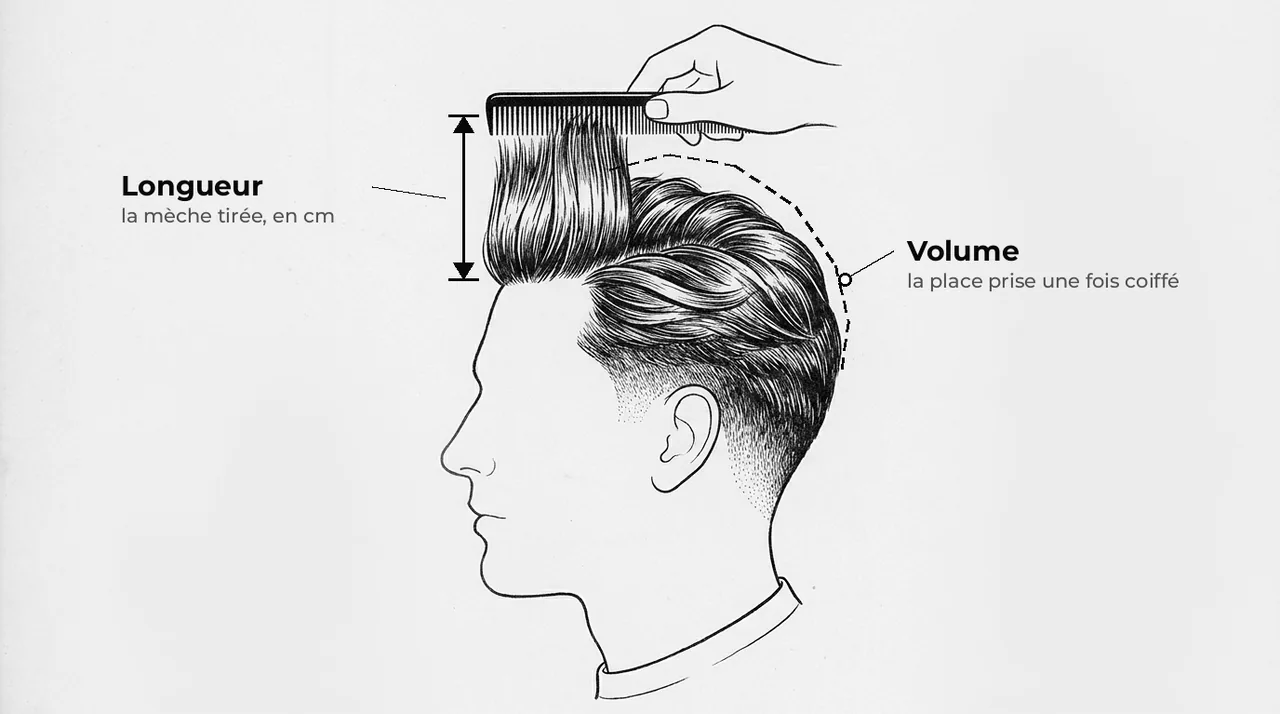 Schéma d’une tête de profil : une mèche du dessus tirée au peigne pour mesurer sa longueur, et le contour du dessus coiffé qui montre son volume